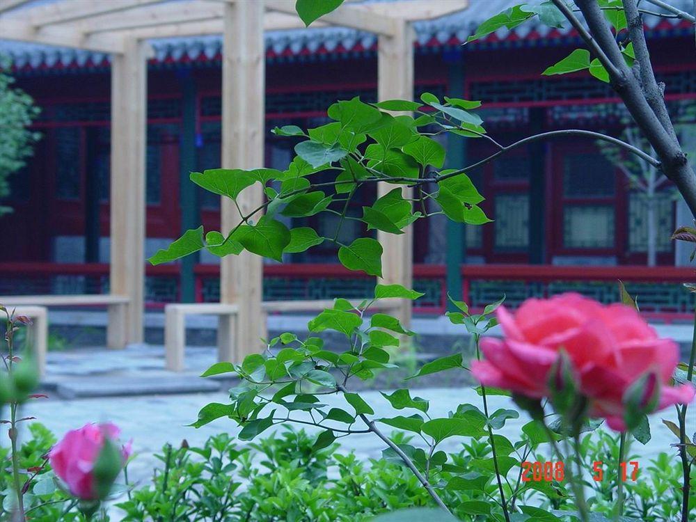 Jingyuan Courtyard