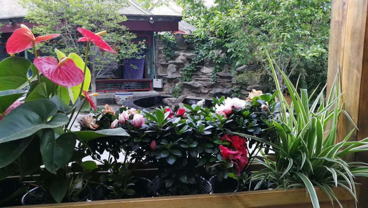Hotel Jingyuan Courtyard Beijing